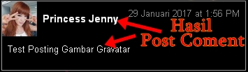 gravatar 11b